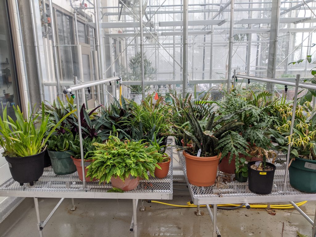 Greenhouse Research
